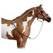 Breyer