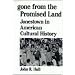 Gone from the Promised Land: Jonestown in American Cultural History