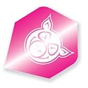 Unicorn Polyflite ?PIG? Dart Flights