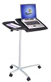 Deluxe Ergonomic Adjustable Computer Cart Desk Graphite
