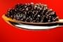 American Hackleback Caviar - 16 oz/454 gr...(FREE OVERNIGHT SHIPPING)