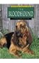 The Bloodhound (Learning about Dogs)