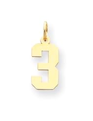 14k Gold Small Polished Number 3 Charm