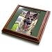 Dogs German Shepherd - German Shepherd Portrait - Trivets