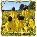 Yellow Coneflower (Ratibida pinnata) Jumbo Wildflower Seed Packet (2000)
