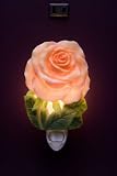 Flowers of Light Night Light Apricot Rose Ibis and Orchid Design