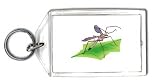 Keychain with tipula, insect, crane, fly