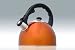 Kitchen & Housewares : Creative Home Satin Splendor Stainless Steel Tea Kettle, Bronze
