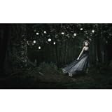 Speak Now Litho #3 - Haunted