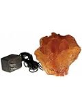 Illuminated Lettuce Coral, Large (Ethical)