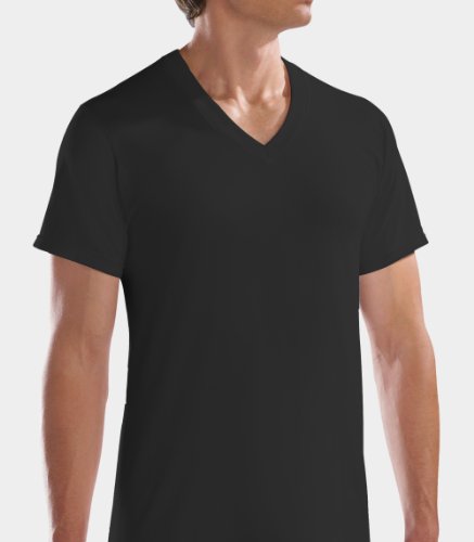 Fruit of the Loom Men's 4pk Black/Gray V-Neck T-Shirt