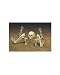 Light up Lawn Skeleton Halloween Decorations By Grasslands Road