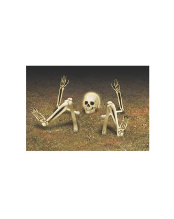 Light up Lawn Skeleton Halloween Decorations By Grasslands Road