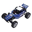 LOSI 1/18 MINI DESERT BUGGY RTR