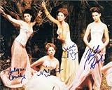 WB Girls - Signed 8x10 Holly Marie Combs, Jessica Biel, Katie Holmes and Michelle Williams