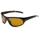 Eagle Eyes Sentinel Sunglasses