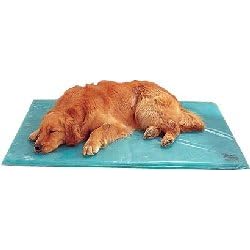 Canine Cooler Pet Bed Large