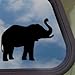 ELEPHANT ANIMAL Black Decal Car Truck Bumper Window Sticker