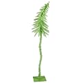 6' Fantasy Chartruese Tree 50Green