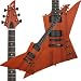 FX STD Electric Guitar with Hardshell Case