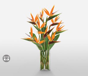 Flowers - Fashion Couture