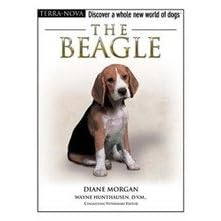 The Beagle: Terra Nova Dog Breed Series
