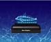 Uncle Milton-sdum-zendolphin-Swimming Dolphin with Soothing Sounds Image