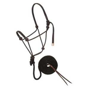horse-halters-leads