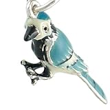 Handsome 3D Blue Jay Bird 925 Sterling Silver and Enamel Traditional Charm
