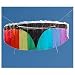 Kitchen & Housewares : SPIRIT OF THE AIR - Power foil 1.4 Kite