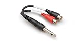 Hosa YPR102 TRS Male To Dual RCA Female Y Cable