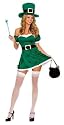 Spank Me I'm Irish Sexy Costume