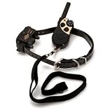 PetSafe Yard and Park Trainer