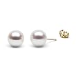 HinsonGayle AAA Japanese Akoya 9.0-9.5mm White Cultured Pearl Stud Earrings (14K Yellow Gold)