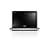 Dell 1011 Mini 10 inch netbook (Atom N270 1.6GHz, 1Gb, 160Gb, WLAN, Webcam, Win 7 Starter (White)