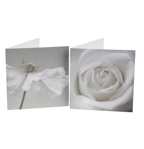 Black & White Floral Multipack Cards