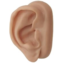 3B Scientific N15/1R SKINlike Silicone Right Acupuncture Ear Model, 3.7" x 2.4" x 1.6"