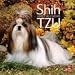 shih_tzu0shih tzu - Shih Tzu Puppies 2010 Wall Calendar 12 X
