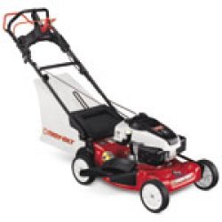 173cc Kohler OHV, 21, 3-N-1, 4 Speed RWD, HW 173cc Kohler OHV, 21, 3-N-1, 4 Speed RWD, HW
