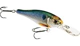 Fishing: Koppers Livetarget Shad