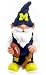Michigan Wolverines 11