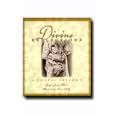 Divine Reflections - Divine Reflections Is a Trilogy of Poems Celebrating the Life of Jesus the Christ. These Sensitive... by Georgia Blosil