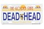Grateful Dead Golden State License Plate