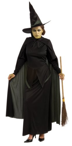 Wicked Witch Adult Costume