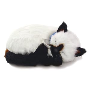 Perfect Petzzz Siamese Cat by 