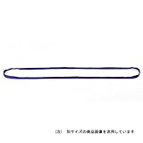 ソフトスリング 1m JNPAS10-10/サークルスリング/ベルトスリング【JSH】