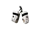 Sidelines Sports San Jose Sharks Mini Hockey Gloves. MHGSS