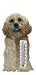 cocker_spaniel41cocker spaniel - Cocker Spaniel Thermometer