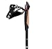 Sports : Leki Flash Carbon Shark 2008