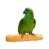 Pollys Pet Products Cuttlebone and Calcium Bird Perch Size Large Assorted Colors